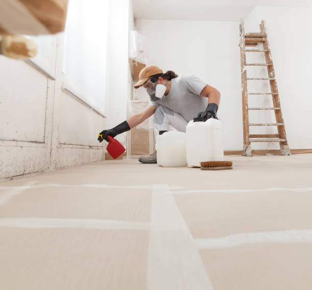 Best Environmental Consulting for Mold Prevention  in Salineville, OH