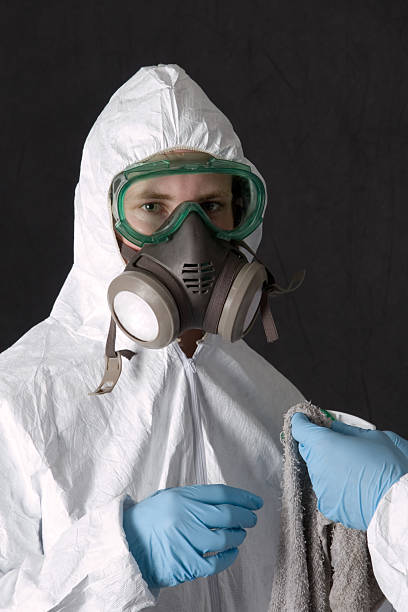 Best Post-Remediation Verification Testing  in Salineville, OH